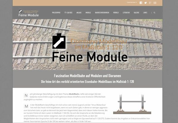 Webseite Feine Module