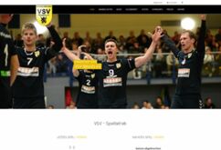 Website VSV Oelsnitz e.V.