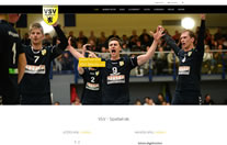 Webseite / VSV Oelsnitz