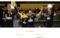 Webseite / VSV Oelsnitz